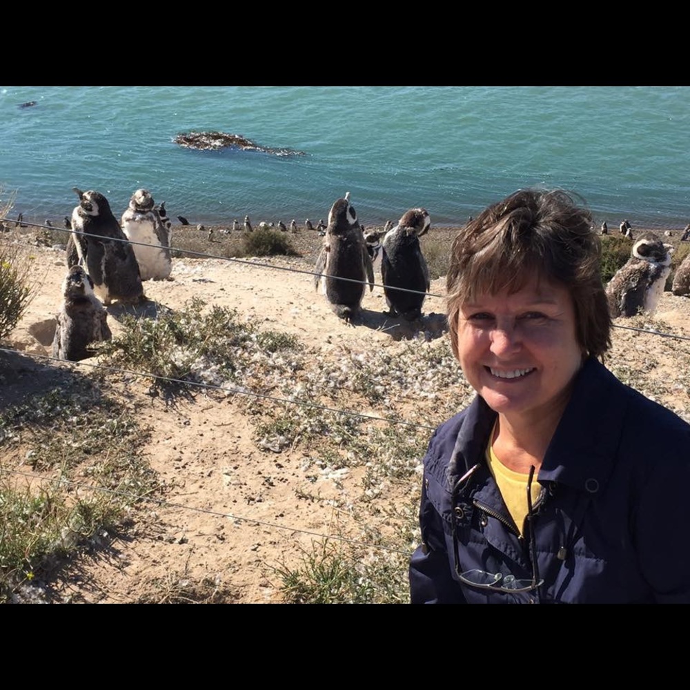 Meet your Posher, Paula